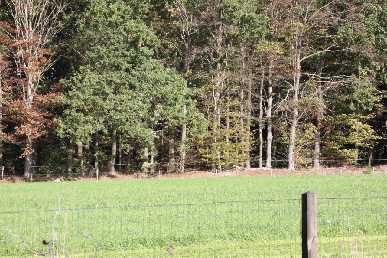 Hoeve De Veldmaat