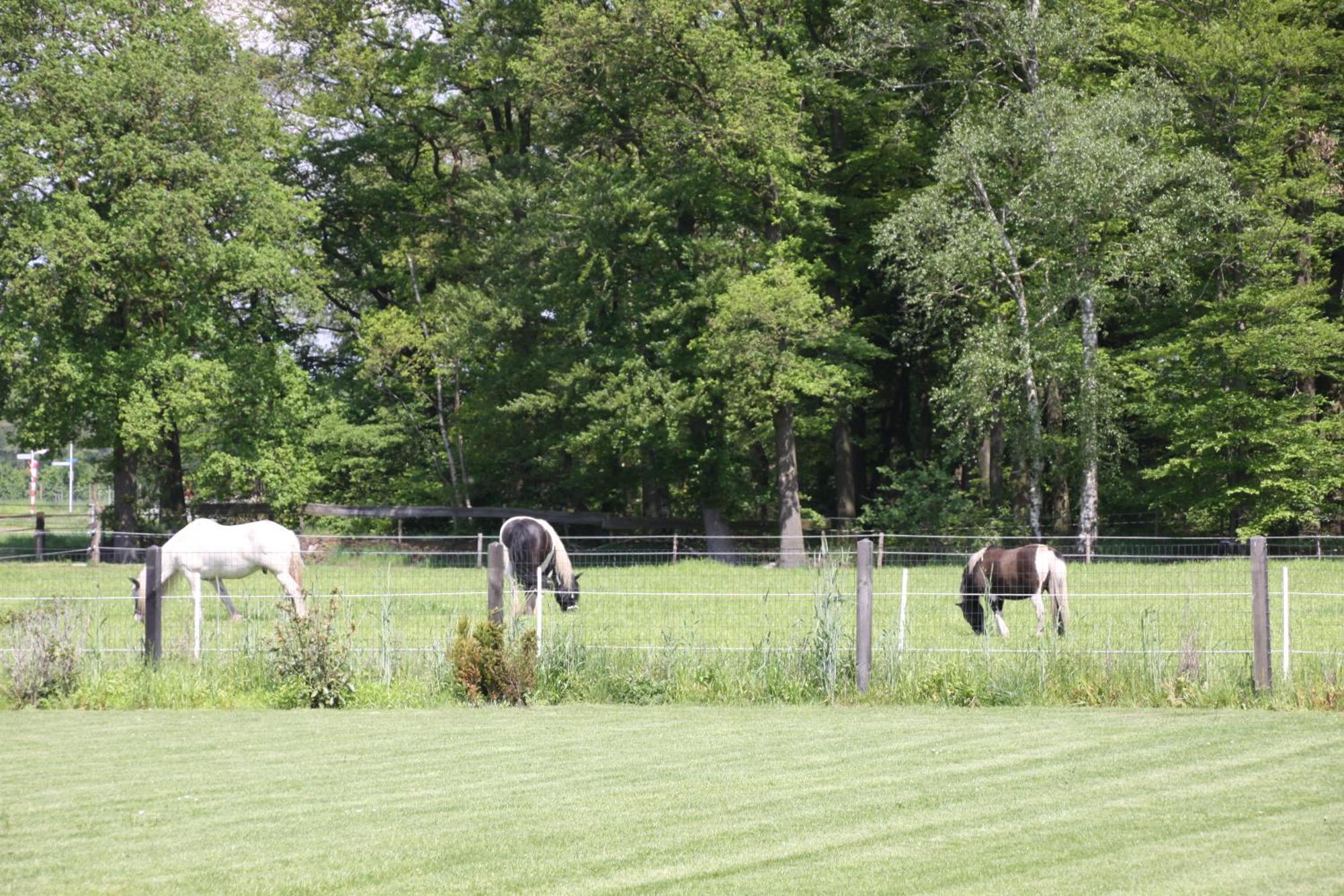 Hoeve De Veldmaat * Haaksbergen